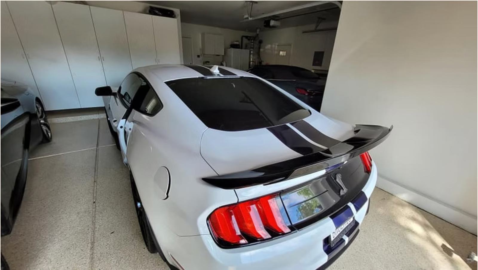 Mustang Shelby — mobile auto window tinting